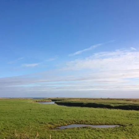 Wohnung-herzmuschel-im-haus-muschelgarten * Alkersum
