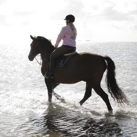 Wohnung-herzmuschel-im-haus-muschelgarten *