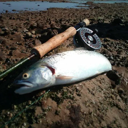 Apartament Wohnung-herzmuschel-im-haus-muschelgarten Alkersum